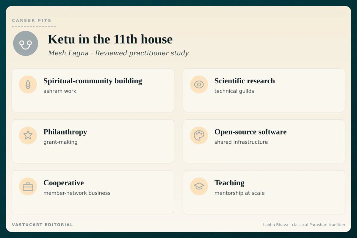 Ketu in 11th house career fits infographic for Mesh Lagna natives, six detached-community paths