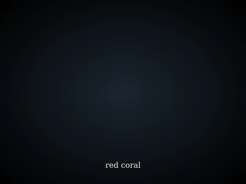 Natural red coral in copper ring, gemstone for Mangal 12th house Vrishabha Lagna