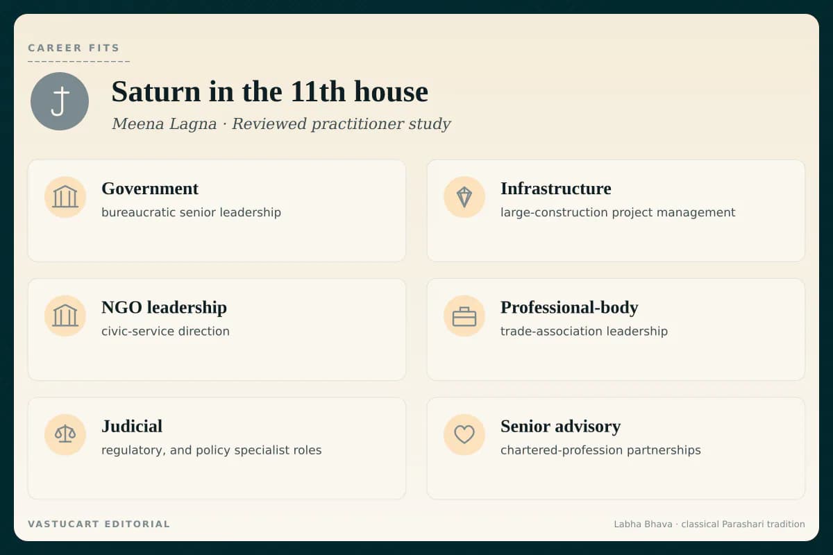 Saturn in 11th house career fits infographic for Meena Lagna natives, six institutional-income paths