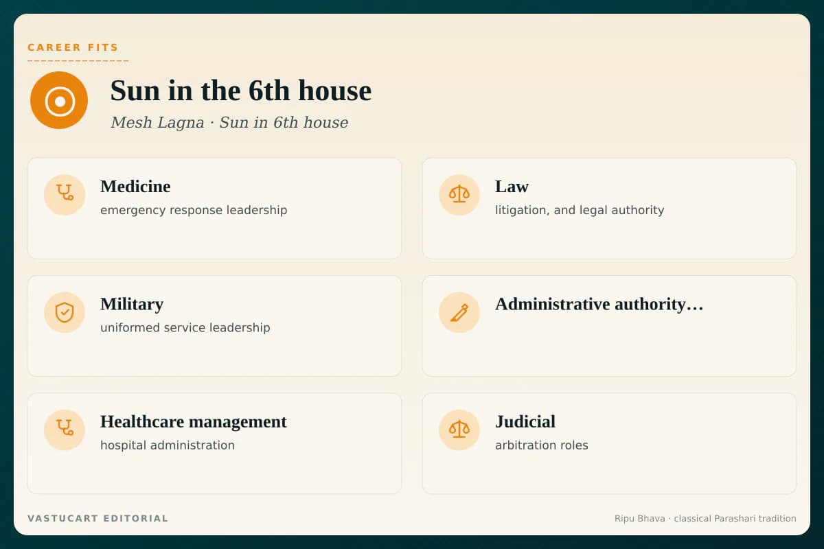 Sun in 6th house career fits infographic for Mesh Lagna natives, six career paths with brand-coloured icons