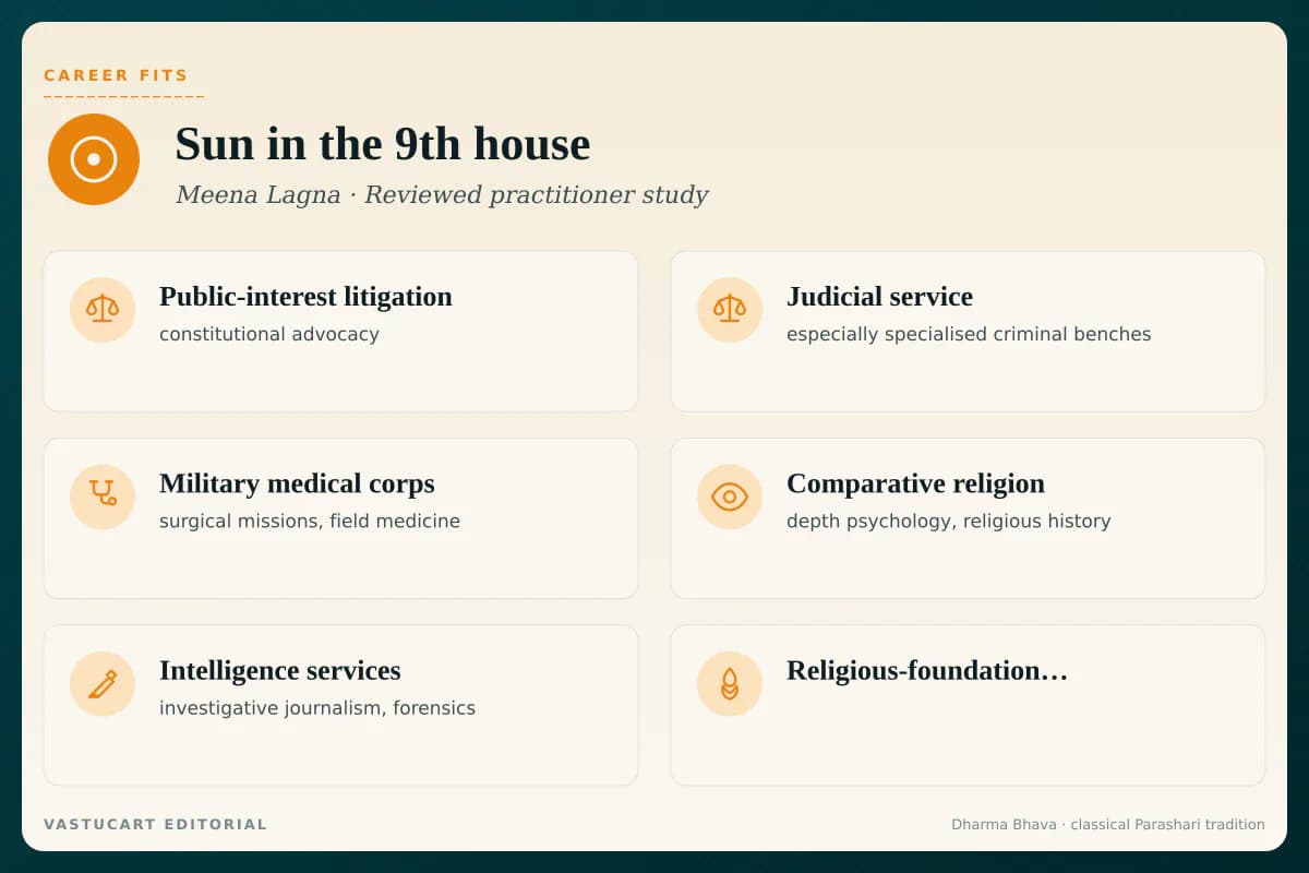Sun in 9th house career fits infographic for Meena Lagna natives, six dharma-research paths