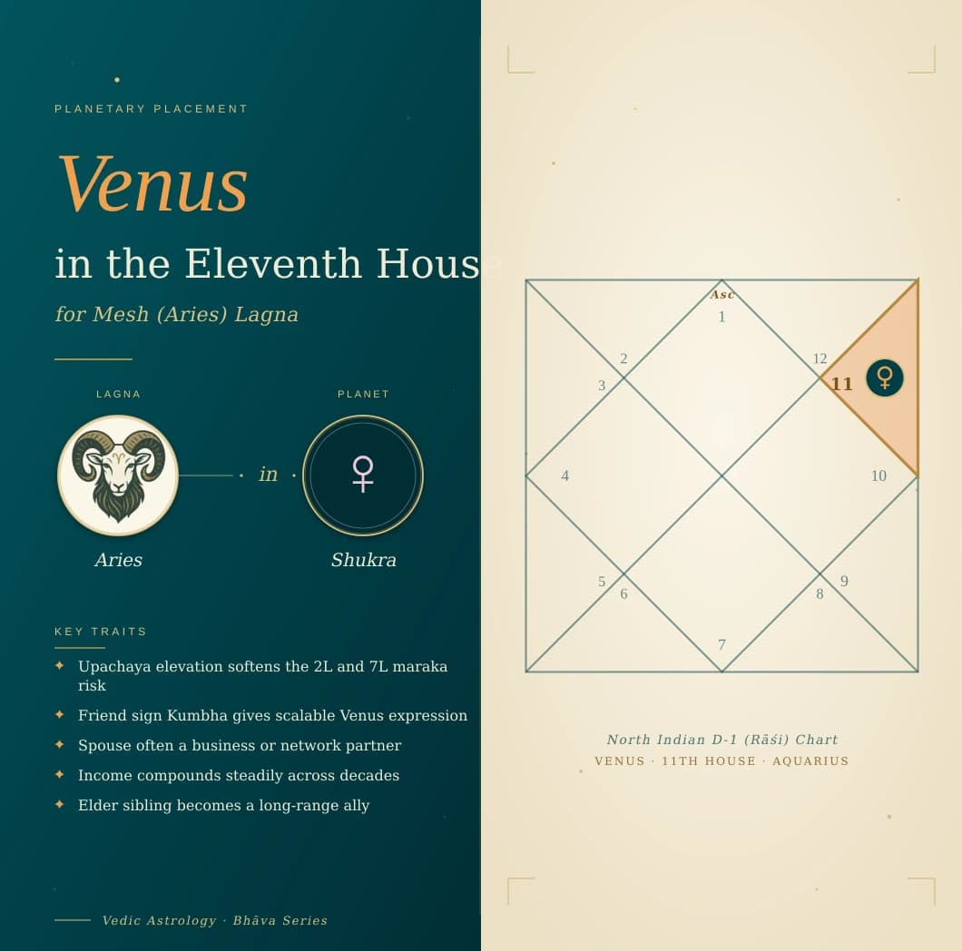 Refined Shukra in the eleventh house of a Mesh Lagna kundali in Kumbha